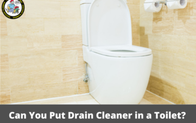 Can You Put Drain Cleaner in a Toilet?