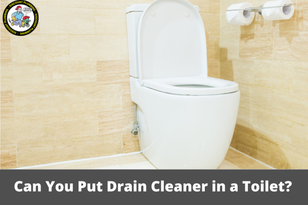 Can You Put Drain Cleaner in a Toilet?