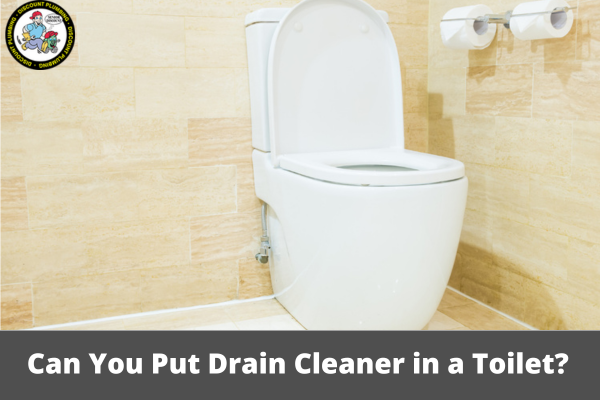 Can You Put Drain Cleaner in a Toilet