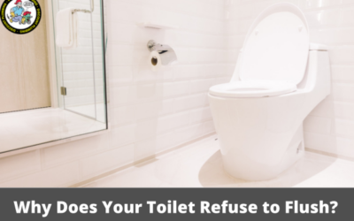 Why Does Your Toilet Refuse to Flush? Let’s Take a Look!