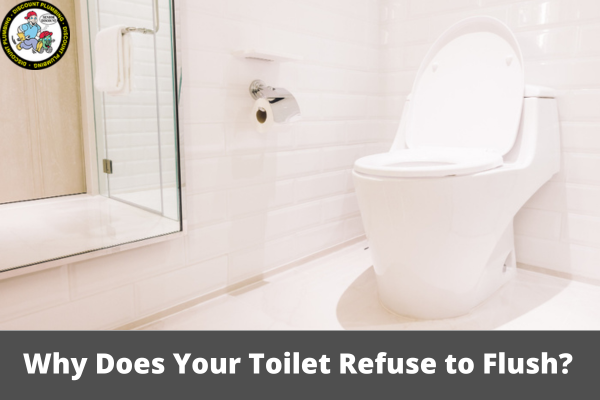 Why Does Your Toilet Refuse to Flush? Let’s Take a Look!