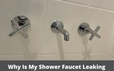 Why Is My Shower Faucet Leaking