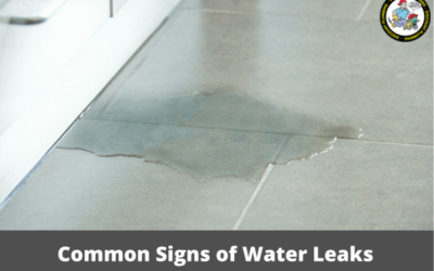 Common Signs of Water Leaks: How to Spot Trouble Before It Escalates