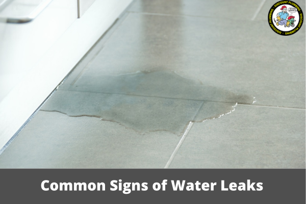 Common Signs of Water Leaks