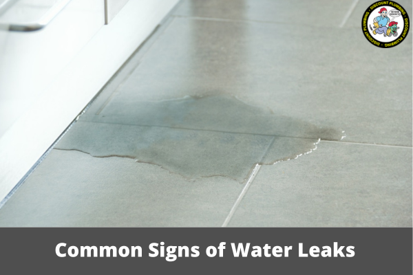 Common Signs of Water Leaks: How to Spot Trouble Before It Escalates